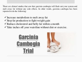 Garcinia
Cambogia
Trial
There are clinical studies that sow that garcinia cambogia will flush out your system and
melt awa...