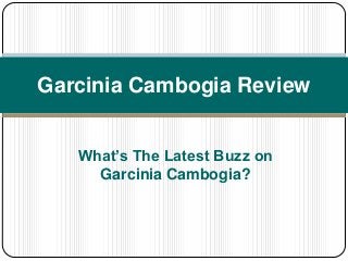 Garcinia Cambogia Review
What’s The Latest Buzz on
Garcinia Cambogia?
 