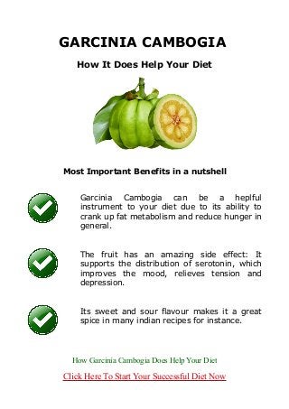 GARCINIA CAMBOGIA
How It Does Help Your Diet
Most Important Benefits in a nutshell
Garcinia Cambogia can be a heplful
instrument to your diet due to its ability to
crank up fat metabolism and reduce hunger in
general.
The fruit has an amazing side effect: It
supports the distribution of serotonin, which
improves the mood, relieves tension and
depression.
Its sweet and sour flavour makes it a great
spice in many indian recipes for instance.
How Garcinia Cambogia Does Help Your Diet
Click Here To Start Your Successful Diet Now
 