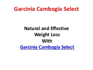 Garcinia Cambogia Select
Natural and Effective
Weight Loss
With
Garcinia Cambogia Select
 
