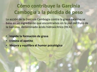 Cómo contribuye la Garcinia
Cambogia a la pérdida de peso
La acción de la Garcinia Cambogia contra la grasa excesiva se
basa en un ingrediente que encontramos en la piel del fruto de
la Garcinia, denominado ácido hidroxicítrico (HCA).
• Impide la formación de grasa
• Elimina el apetito
• Mejora y equilibra el humor psicológico
Obtenga más información en: http://garciniacambogiaspain.com/
 