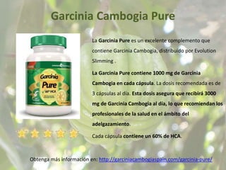 Garcinia Cambogia Pure
Obtenga más información en: http://garciniacambogiaspain.com/garcinia-pure/
La Garcinia Pure es un excelente complemento que
contiene Garcinia Cambogia, distribuido por Evolution
Slimming .
La Garcinia Pure contiene 1000 mg de Garcinia
Cambogia en cada cápsula. La dosis recomendada es de
3 cápsulas al día. Esta dosis asegura que recibirá 3000
mg de Garcinia Cambogia al día, lo que recomiendan los
profesionales de la salud en el ámbito del
adelgazamiento.
Cada cápsula contiene un 60% de HCA.
 
