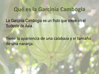 Garcinia Cambolla Extract. 30 Capsules Exelente Quema Grasa! –