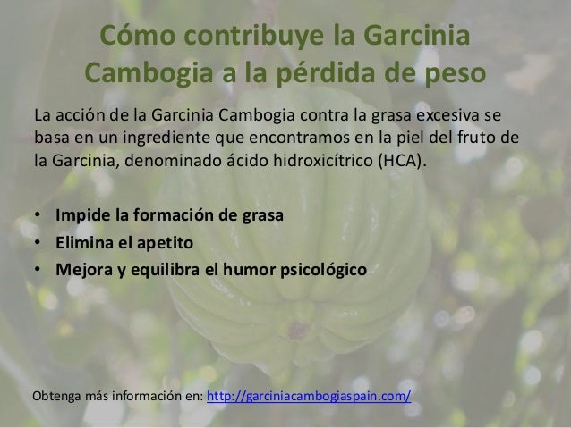 Informacion En Espanol De Garcinia Cambogia