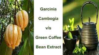 Garcinia
Cambogia
v/s
Green Coffee
Bean Extract
 