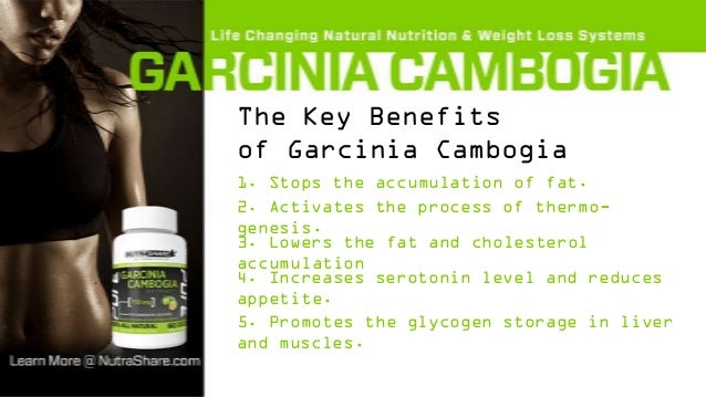 Garcinia Cambogia Extract Guide - Weight Loss and Fat ...