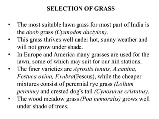 SELECTION OF GRASS
• The most suitable lawn grass for most part of India is
the doob grass (Cyanodon dactylon).
• This grass thrives well under hot, sunny weather and
will not grow under shade.
• In Europe and America many grasses are used for the
lawn, some of which may suit for our hill stations.
• The finer varieties are Agrostis tenuis, A.canina,
Festuca ovina, F.rubra(Fescus), while the cheaper
mixtures consist of perennial rye grass (Lolium
perenne) and crested dog’s tail (Cynosurus cristatus).
• The wood meadow grass (Poa nemoralis) grows well
under shade of trees.
 