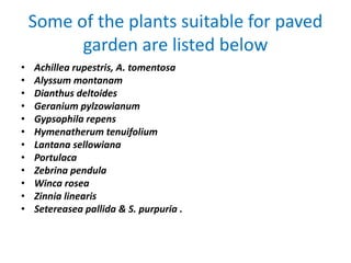 Some of the plants suitable for paved
garden are listed below
• Achillea rupestris, A. tomentosa
• Alyssum montanam
• Dianthus deltoides
• Geranium pylzowianum
• Gypsophila repens
• Hymenatherum tenuifolium
• Lantana sellowiana
• Portulaca
• Zebrina pendula
• Winca rosea
• Zinnia linearis
• Setereasea pallida & S. purpuria .
 
