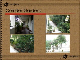 Corridor Gardens 