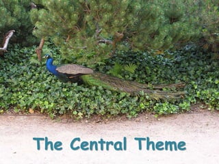 The Central Theme
 