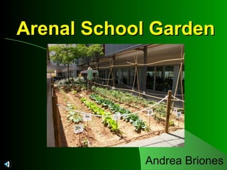 Arenal School GardenArenal School Garden
Andrea Briones
 