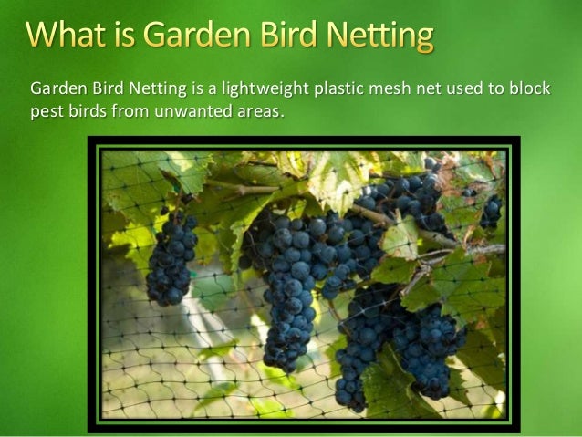 Garden Bird Netting