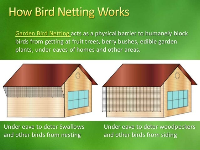 Garden Bird Netting