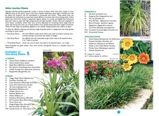 Other Garden Plants
Average suburban gardens generally contain a variety of plants, which have their origins in many           PERENNIALS
different parts of the world. Some come from tropical rainforests where light is limited, rain may         N   Mat Rush (Lomandra var)
be heavy and frequent, and the atmosphere is protected and humid. These plants have not
                                                                                                           N   Kangaroo Paw (Anigozanthos var)
developed any mechanisms to make them water-efficient or protect them from drying winds. Other
plants may come from northern temperate regions where it is cooler and slightly less humid and             N   Flax Lily (Dianella var)
they don't have to cope with high temperatures and high humidity. Others may have originated in            X   Pony Tail Plant (Beaucarnea recurvata)
harsh desert conditions where their very survival depended on harvesting every single drop of              X   Bird of Paradise (Sterlitzia reginae)
water and storing it for later use. A large number of our garden plants have their origins in Australia.   X   Agapanthus (Agapanthus praecox)
Those of local origin are perfectly adapted to our climate, having evolved over millions of years.
                                                                                                           X   Coral Plant (Russellia equisetiformis)
To allow for efficient watering, this diverse range of garden plants is categorised into three groups      N/X Succulents (Crassula Agave, Portulaca var)
according to water needs:
                                                                                                           N/X Ornamental Grasses
●   One-Drop Plants -    the most efficient water-users, which only need occasional watering over
                         summer, perhaps once every two weeks or longer.
                                                                                                           GROUNDCOVERS
●   Two-Drop Plants -    less efficient but still reasonably tough, which need to be watered every                                                                Pony Tail Plant
                                                                                                           N  Native Daisies (Brachycome var, Helichrysum var)
                         3 to 7 days in summer.
                                                                                                           N  Prostate Grevilleas (Grevillea var)
●   Three-Drop Plants - which use a lot of water and need to be watered every 1 to 2 days.                 N  Myoporum (Myoporum parvifolium)
Some examples are given below. Your local nursery and garden centre is a valuable source of                X  Moses in the Cradle (Rhoeo discolor)
information.                                                                                               X  Mondo Grass (Ophiopogon japonica)
                                                         Bouganvillea                                      X  Gazania (Gazania var)
Examples of
One-Drop Plants                                                                                            N = native, X = exotic,                 Gazania
                                                                                                           var = various species or cultivars
CLIMBERS                                                                                                                                        Mondo Grass
N   Guinea Flower (Hibbertia scandens)
N   Native Grape (Cissus opaca)
N   Apple Berry (Billardiera scandens)
X   Star Jasmine (Trachelospermum jasminoides)
X   Golden Trumpet Vine (Allamanda cathartica)
X   Bouganvillea (Bouganvillea var)

SHRUBS
N   Twiggy Heath Myrtle (Baeckea var)
N   Grevilleas (Grevillea var)
N   Coast Rosemary (Westringia fruticosa)
N   Grass Tree (Xanthorrea australis)
N   Tea trees (Leptospermum var)
N   Paperbarks (Melaleuca var)
N   Wattles (Acacia var)                   Yucca
N   Banksias (Banksia var)
N   Hakeas (Hakea var)
X   Rosemary (Rosmarinus officinalis)
X   NZ Christmas Bush (Metrosideros excelsa)
X   Yucca (Yucca var)
X   Dragon/Happy Plant (Dracaena var)
X   Red Hot Poker (Knifofia var)
N/X Cycads (Cycas var, Macrozamia var)

                                                 ● 6
                                                                                                                                                         ●    7
 