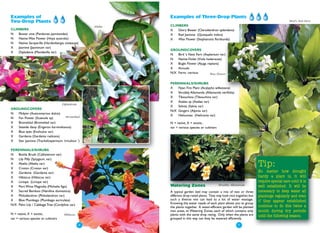 Examples of                                                    Examples of Three-Drop Plants
Two-Drop Plants                                                                                                                                    Bird’s Nest Fern
                                                      Abelia   CLIMBERS
CLIMBERS                                                       X   Glory Bower (Clerodendron splendens)
N   Bower vine (Pandorea jasminoides)                          X   Red Jasmine (Quisqualis indica)
N   Native Wax Flower (Hoya australis)                         X   Wax Flower (Stephanotis floribunda)
N   Native Sarsparilla (Hardenbergia violeacea)
X   Jasmine (Jasminum var)
                                                               GROUNDCOVERS
X   Dipladenia (Mandevilla var)
                                                               N   Bird 's Nest Fern (Asplenium var)
                                                               N   Native Violet (Viola hederacea)
                                                               X   Bugle Flower (Ajuga reptans)
                                                               X   Annuals
                                                               N/X Ferns -various         Wax Flower


                                                               PERENNIALS/SHRUBS
                                                               X   Fijian Fire Plant (Acalypha wilkesiana)
                                                               X   Shrubby Allamanda (Allamanda nerifolia)
                                                               X   Tibouchina (Tibouchina var)
                                                               X   Azalea sp (Azalea var)
                                     Dipladenia
                                                               X   Salvias (Salvia var)
GROUNDCOVERS
                                                               N/X Gingers (Alpinia var)
N  Midyim (Austromyrtus dulcis)
                                     Bromeliad                 X   Heliconias (Heliconia var)
N  Fan Flower (Scaevola sp)
X  Bromeliad (Bromeliad var)                                   N = native, X = exotic,
X  Seaside daisy (Erigeron karvinskianus)                      var = various species or cultivars
X  Blue eyes (Evolvulus var)
X  Gardenia (Gardenia radicans)
X  Star Jasmine (Trachelospermum 'tricolour ')

PERENNIALS/SHRUBS
N   Bottle Brush (Callistemon var)
N   Lily Pilly (Syzygium, var)
X
X
    Abelia (Abelia var)
    Croton (Croton var)
                                                                                                                               Tip:
X   Gardenia (Gardenia var)                                                                                                    No matter how drought
X   Hibiscus (Hibiscus var)                                                                                                    hardy a plant is, it will
X   Liriope (Liriope var)                                                                                                      require special care until it is
X   Port Wine Magnolia (Michelia figo)                         Watering Zones                       Shrubby Allamanda          well established. It will be
X   Sacred Bamboo (Nandina domestica)                          A typical garden bed may contain a mix of two or three          necessary to deep water all
X   Philodendron (Philodendron var)                            different drop-rated plants. They may look nice together, but   plantings regularly and even
X   Blue Plumbago (Plumbago auriculata)                        such a diverse mix can lead to a lot of water wastage.          if they appear established
N/X Palm Lily / Cabbage Tree (Cordyline var)                   Knowing the water needs of each plant allows you to group
                                                               the plants together. A water-efficient garden will be planted   continue to do this twice a
                                                               into areas, or Watering Zones, each of which contains only      month during dry periods
N = native, X = exotic,               Hibiscus                 plants with the same drop rating. Only when the plants are      until the following season.
var = various species or cultivars                             grouped in this way can they be watered efficiently.

                                                 ●8
                                                                                                               ●9
 
