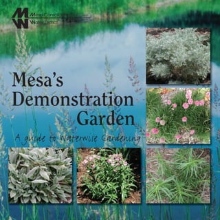 Mesa’s
Demonstration
       Garden
A guide to Waterwise Gardening
 