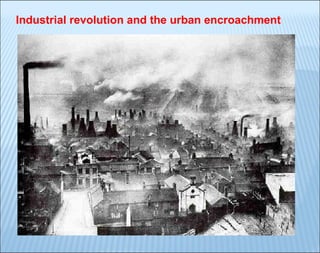 Industrial revolution and the urban encroachment

 