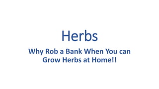 Herbs
Why Rob a Bank When You can
Grow Herbs at Home!!
 