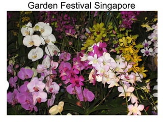 Garden Festival Singapore 