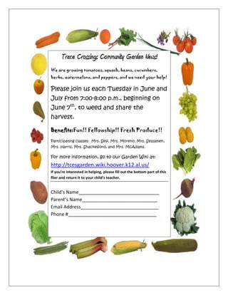 723900809625Trace Crossings Community Garden News!We are growing tomatoes, squash, beans, cucumbers, herbs, watermelons, and peppers, and we need your help!Please join us each Tuesday in June and July from 7:00-8:00 p.m., beginning on June 7th, to weed and share the harvest.Benefits:   Fun!! Fellowship!! Fresh Produce!!Participating classes:  Mrs. Self, Mrs. Moreno, Mrs. Sessamen, Mrs. Harris, Mrs. Shackelford, and Mrs. McAdams.For more information, go to our Garden Wiki at:  http://tcesgarden.wiki.hoover.k12.al.us/If you’re interested in helping, please fill out the bottom part of this flier and return it to your child’s teacher.Child’s Name_______________________________Parent’s Name_____________________________Email Address______________________________Phone #__________________________________00Trace Crossings Community Garden News!We are growing tomatoes, squash, beans, cucumbers, herbs, watermelons, and peppers, and we need your help!Please join us each Tuesday in June and July from 7:00-8:00 p.m., beginning on June 7th, to weed and share the harvest.Benefits:   Fun!! Fellowship!! Fresh Produce!!Participating classes:  Mrs. Self, Mrs. Moreno, Mrs. Sessamen, Mrs. Harris, Mrs. Shackelford, and Mrs. McAdams.For more information, go to our Garden Wiki at:  http://tcesgarden.wiki.hoover.k12.al.us/If you’re interested in helping, please fill out the bottom part of this flier and return it to your child’s teacher.Child’s Name_______________________________Parent’s Name_____________________________Email Address______________________________Phone #__________________________________1362076675322500<br />