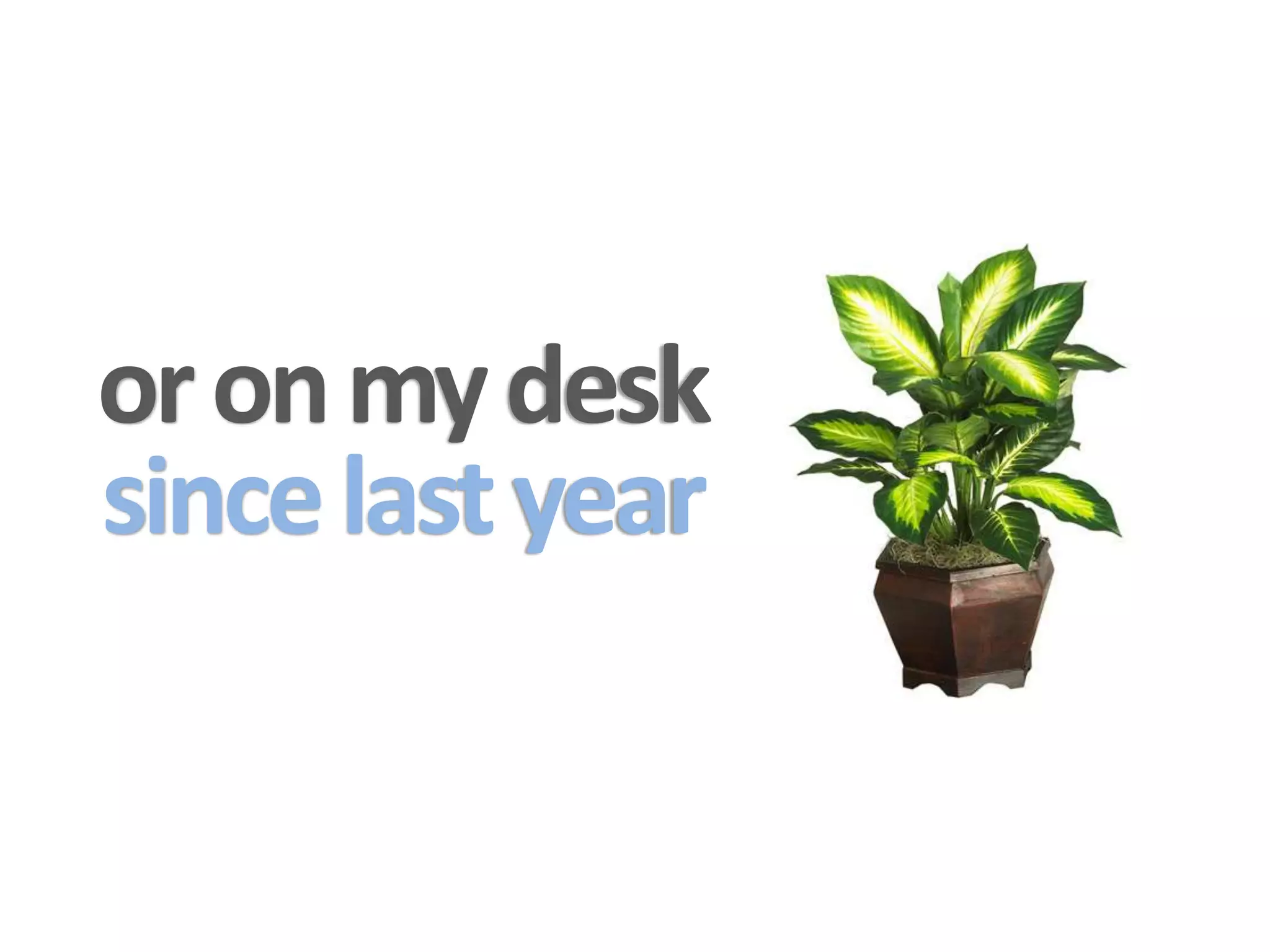 or on my desk
since last year
 