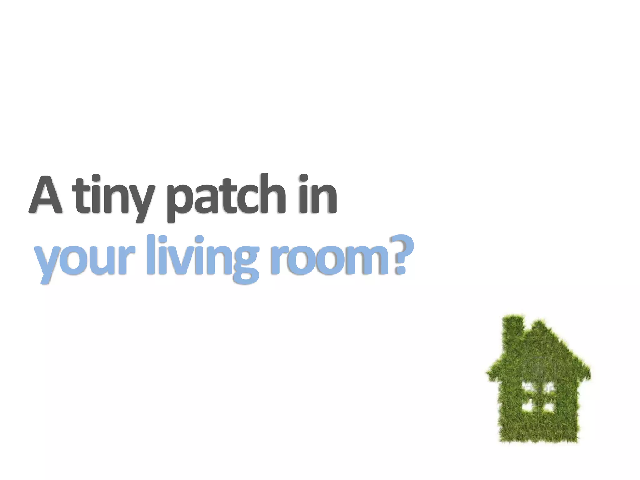 A tiny patch in
your living room?
 