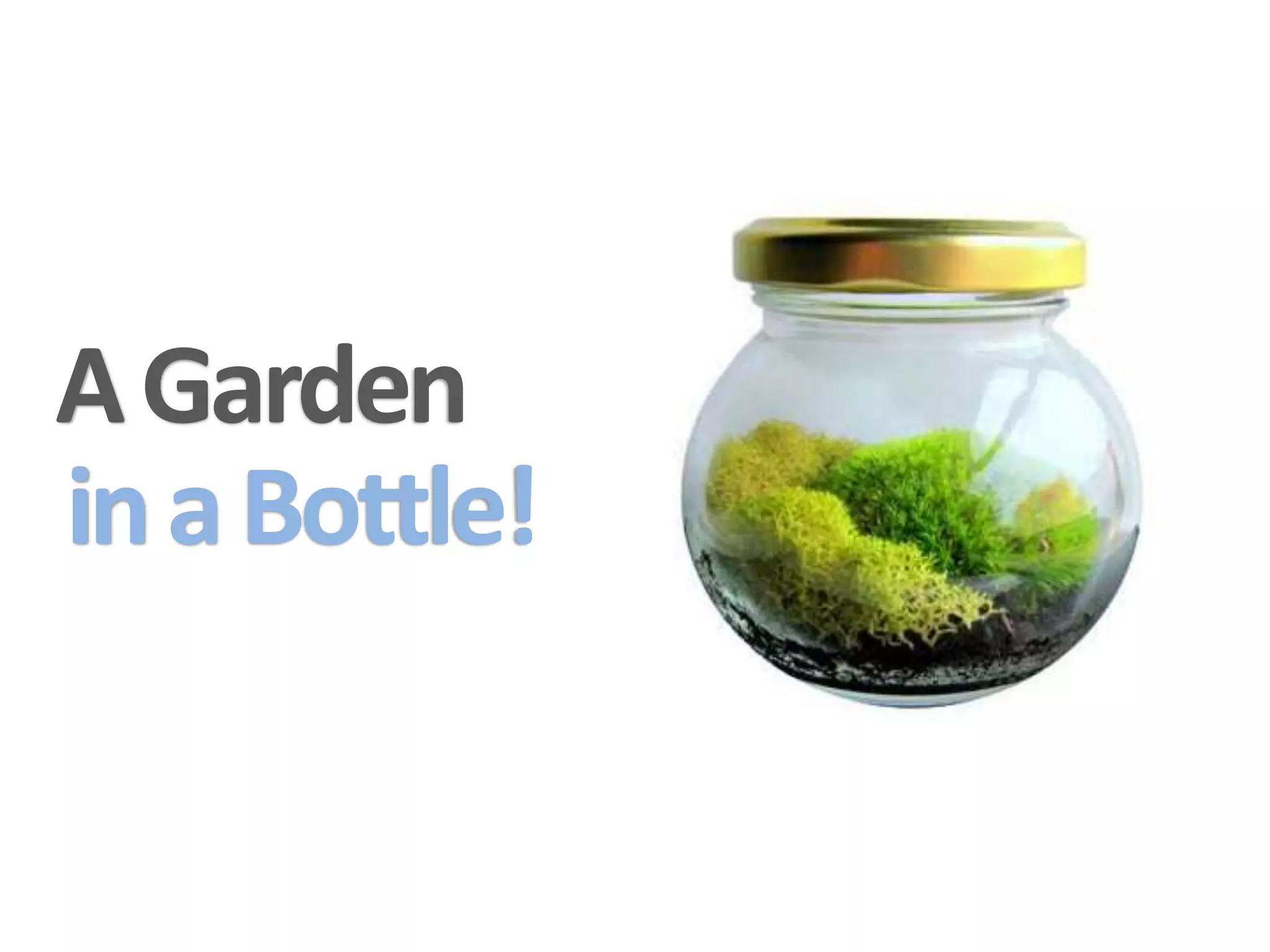 A Garden
in a Bottle!
 