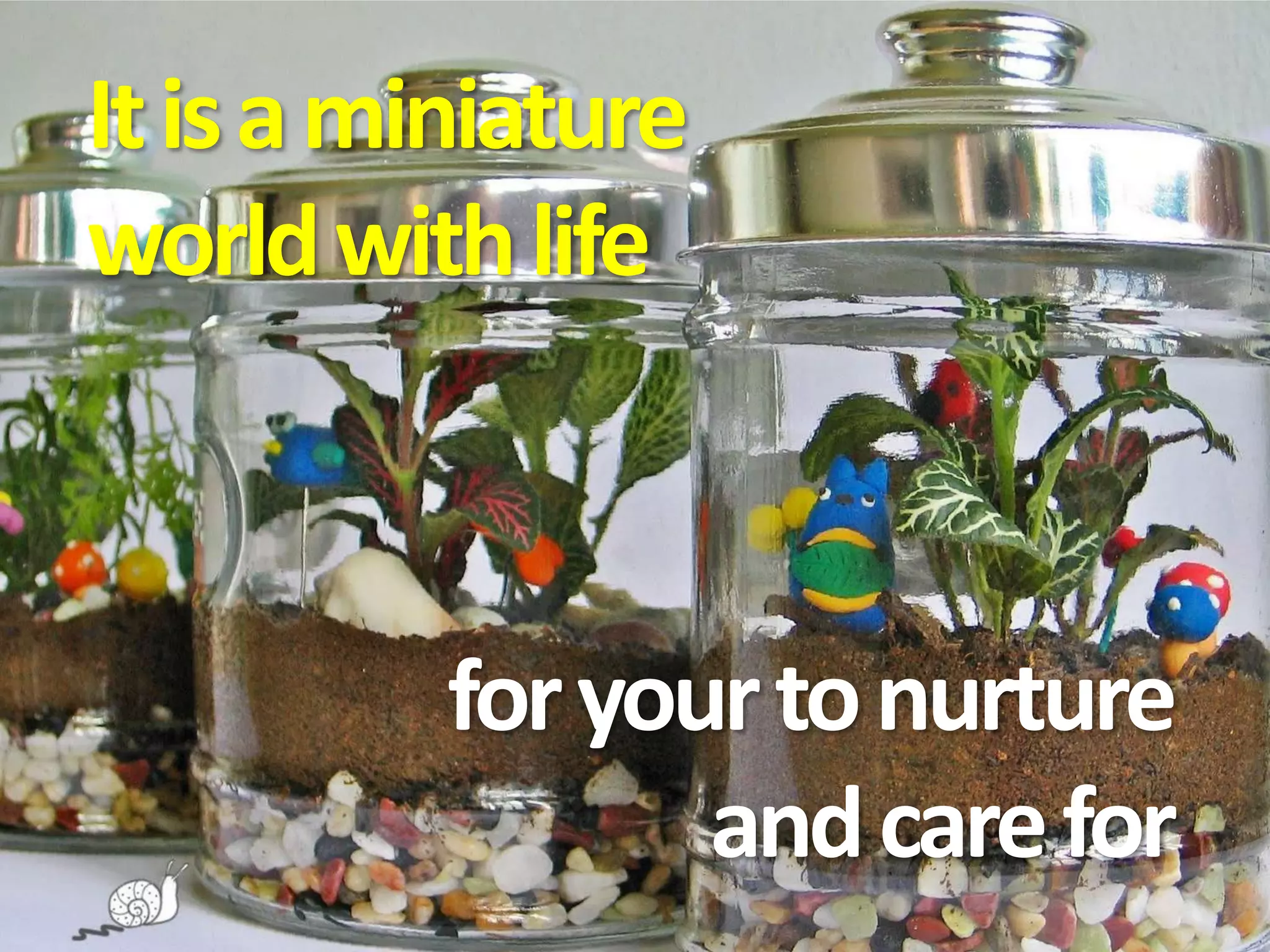 It is a miniature
world with life



          for your to nurture
                 and care for
 