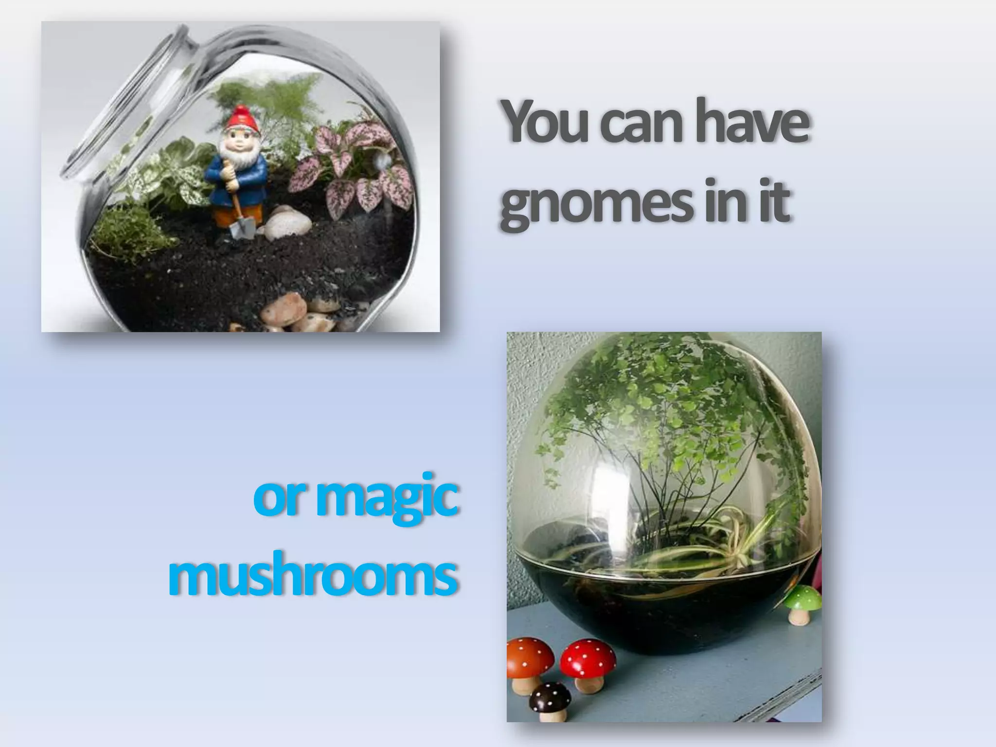 You can have
             gnomes in it



  or magic
mushrooms
 