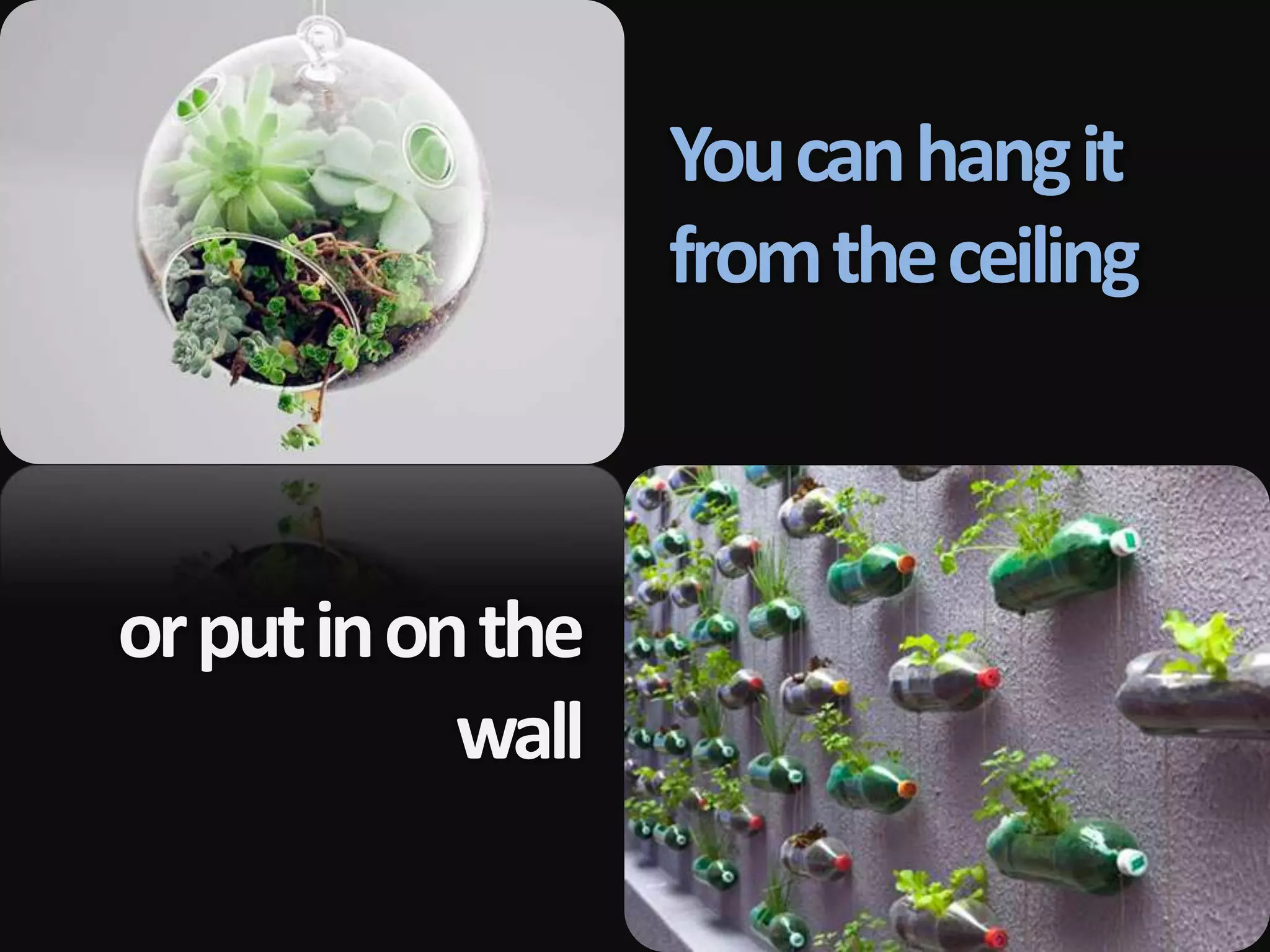 You can hang it
                   from the ceiling



or put in on the
            wall
 