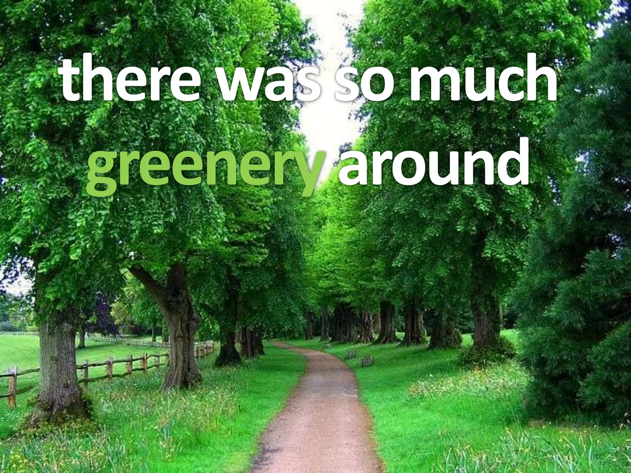 there was so much
 greenery around
 