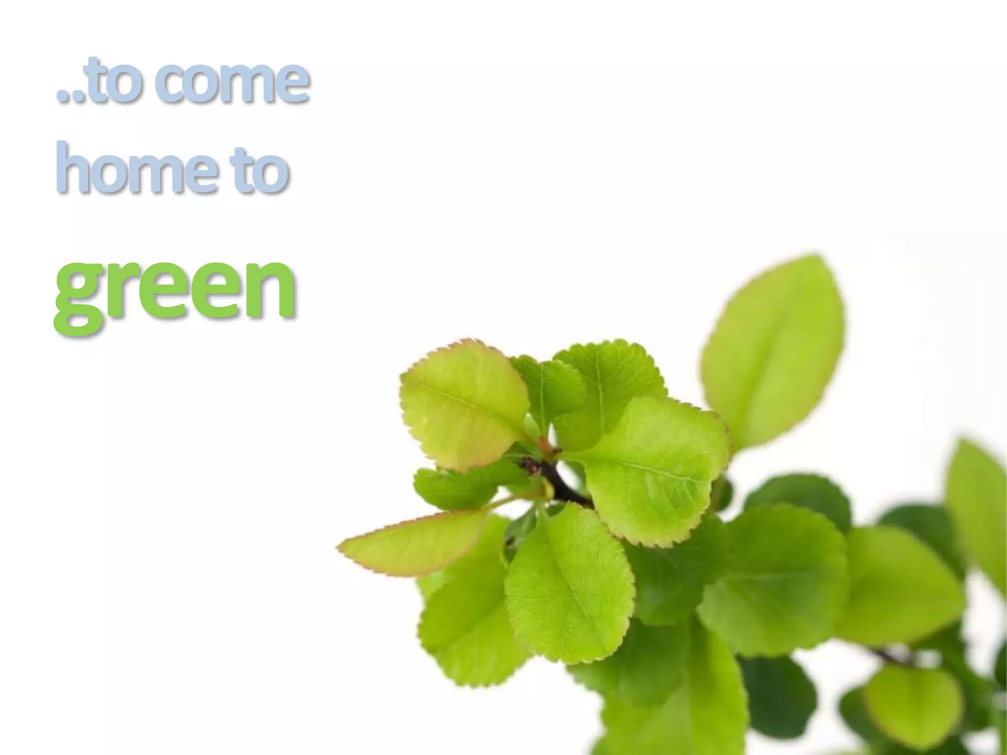 ..to come
home to
green
 