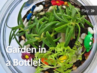 Garden in
a Bottle!   Play
 