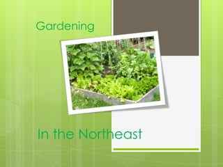 Gardening




In the Northeast
 
