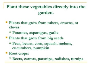 Plant these vegetables directly into the
garden.
 Plants that grow from tubers, crowns, or
cloves
 Potatoes, asparagus, garlic
 Plants that grow from big seeds
 Peas, beans, corn, squash, melons,
cucumbers, pumpkin
 Root crops:
 Beets, carrots, parsnips, radishes, turnips
 