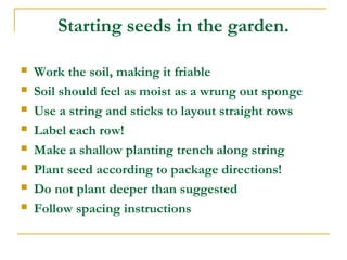 Starting seeds in the garden.
 Work the soil, making it friable
 Soil should feel as moist as a wrung out sponge
 Use a string and sticks to layout straight rows
 Label each row!
 Make a shallow planting trench along string
 Plant seed according to package directions!
 Do not plant deeper than suggested
 Follow spacing instructions
 