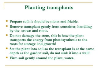 Planting transplants
 Prepare soil: it should be moist and friable.
 Remove transplant gently from container, handling
by the crown and roots.
 Do not damage the stem, this is how the plant
transports the energy from photosynthesis to the
roots for storage and growth!
 Set the plant into soil so the transplant is at the same
depth as the garden soil, do not sink it into a well!
 Firm soil gently around the plant, water.
 