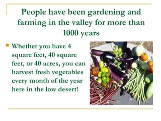People have been gardening and
farming in the valley for more than
1000 years
 Whether you have 4
square feet, 40 square
feet, or 40 acres, you can
harvest fresh vegetables
every month of the year
here in the low desert!
 