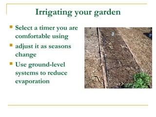 Irrigating your garden
 Select a timer you are
comfortable using
 adjust it as seasons
change
 Use ground-level
systems to reduce
evaporation
 