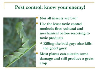 Pest control: know your enemy!
 Not all insects are bad!
 Use the least toxic control
methods first: cultural and
mechanical before resorting to
toxic products
 Killing the bad guys also kills
the good guys!
 Most plants can sustain some
damage and still produce a great
crop
 