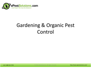Gardening & Organic Pest
                              Control




Call 1-888-523-7378          © 2012 ePestSolutions. All rights reserved.   http://www.epestsolutions.com/
 
