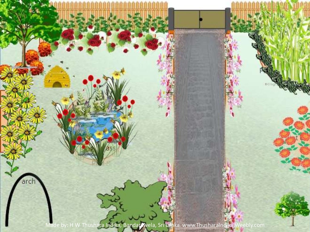 Gardening backyard