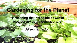 Gardening for the Planet
Harnessing the incredible power of
biodiversity using permaculture
Allison Houghton
 