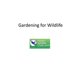 Gardening for Wildlife
 