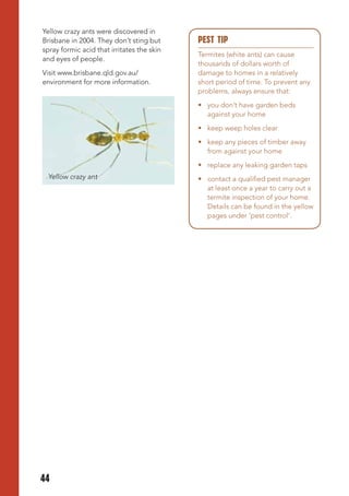 Yellow crazy ants were discovered in
Brisbane in 2004. They don’t sting but      PESt tIP
spray formic acid that irritates the skin
                                            Termites (white ants) can cause
and eyes of people.
                                            thousands of dollars worth of
Visit www.brisbane.qld.gov.au/              damage to homes in a relatively
environment for more information.           short period of time. To prevent any
                                            problems, always ensure that:
                                            •	 you	don’t	have	garden	beds	
                                               against your home
                                            •	 keep	weep	holes	clear
                                            •	 keep	any	pieces	of	timber	away	
                                               from against your home
                                            •	 replace	any	leaking	garden	taps
 Yellow crazy ant                           •	 contact	a	qualified	pest	manager	
                                               at least once a year to carry out a
                                               termite inspection of your home.
                                               Details can be found in the yellow
                                               pages under ‘pest control’.




44
 