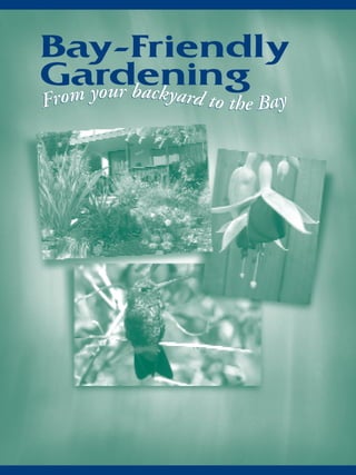 Bay-Friendly
Gardening
  your backy
From   yard to the Bay
 