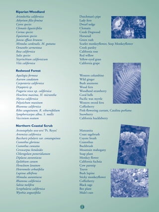 Riparian Woodland
Aristolochia californica                Dutchman’s pipe
Athyrium filix-femina                   Lady fern
Carex species                           Dwarf sedge
Clematis ligusticifolia                 Clematis
Cornus species                          Creek Dogwood
Equisetum species                       Horsetail
Juncus effuses bruneus                  Green rush
Mimulus cardenalis, M. guttatus         Scarlet monkeyflower, Seep Monkeyflower
Oenanthe sarmentosa                     Creek parsley
Rosa californica                        California rose
Salix species                           Red willow
Sisyrinchium californicum               Yellow-eyed grass
Vitis californica                       California grape

Redwood Forest
Aquilegia formosa                       Western columbine
Asarum caudatum                         Wild ginger
Carpenteria californica                 Bush anemone
Dryopteris sp.                          Wood fern
Fragaria vesca ssp. californica         Woodland strawberry
Heuchera maxima, H. micrantha           Coral bells
Myrica californica                      Pacific wax myrtle
Polystichum munitum                     Western sword fern
Rhamnus californica                     Coffeeberry
Ribes sanguineum, R. viburnifolium      Pink-flowering currant, Catalina perfume
Symphoricarpos albus, S. mollis         Snowberry
Vaccinium ovatum                        California huckleberry

Northern Coastal Scrub
Arctostaphylos uva-ursi ‘Pt. Reyes’     Manzanita
Artemisia californica                   Coast sagebrush
Baccharis pilularis var. consanguinea   Coyote brush
Ceanothus gloriosus                     Ceanothus
Ceanothus cuneatus                      Buckbrush
Cercocarpus betuloides                  Mountain mahogany
Chlorogolum pomeridianum                Soap plant
Diplacus aurantiacus                    Monkey flower
Epilobium canum                         California fuchsia
Heracleum lanatum                       Cow parsnip
Heteromeles arbutifolia                 Toyon
Lupinus albifrons                       Bush lupine
Mimulus aurantiacus                     Sticky monkeyflower
Rhamnus californica                     Coffeeberry
Salvia melifera                         Black sage
Scrophularia californica                Bee plant
Wyethia angustifolia                    Mule’s ears



                                        15
 