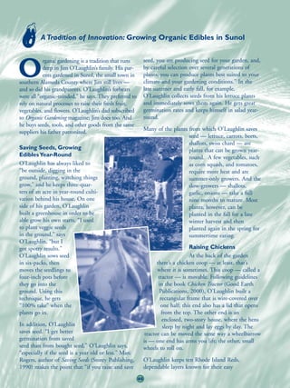 A Tradition of Innovation: Growing Organic Edibles in Sunol


           rganic gardening is a tradition that runs         seed, you are producing seed for your garden, and,

O          deep in Jim O’Laughlin’s family. His par-
           ents gardened in Sunol, the small town in
southern Alameda County where Jim still lives —
                                                             by careful selection over several generations of
                                                             plants, you can produce plants best suited to your
                                                             climate and your gardening conditions.” In the
and so did his grandparents. O’Laughlin’s forbears           late summer and early fall, for example,
were all “organic-minded,” he says. They preferred to        O’Laughlin collects seeds from his lettuce plants
rely on natural processes to raise their fresh fruit,        and immediately sows them again. He gets great
vegetables, and flowers. O’Laughlin’s dad subscribed         germination rates and keeps himself in salad year-
to Organic Gardening magazine; Jim does too. And             round.
he buys seeds, tools, and other goods from the same
                                                             Many of the plants from which O’Laughlin saves
suppliers his father patronized.
                                                                                seed — lettuce, carrots, beets,
                                                                                shallots, swiss chard — are
Saving Seeds, Growing                                                           plants that can be grown year-
Edibles Year-Round                                                              round. A few vegetables, such
O’Laughlin has always liked to                                                  as corn squash, and tomatoes,
“be outside, digging in the                                                     require more heat and are
ground, planting, watching things                                               summer-only growers. And the
grow,” and he keeps three-quar-                                                 slow-growers — shallots,
ters of an acre in year-round culti-                                            garlic, onions — take a full
vation behind his house. On one                                                 nine months to mature. Most
side of his garden, O’Laughlin                                                  plants, however, can be
built a greenhouse in order to be                                               planted in the fall for a late
able grow his own starts. “I used                                               winter harvest and then
to plant veggie seeds                                                           planted again in the spring for
in the ground,” says                                                            summertime eating.
O’Laughlin, “but I
got spotty results.”                                                                Raising Chickens
O’Laughlin sows seed                                                                At the back of the garden
in six-packs, then                                                  there’s a chicken coop — at least, that’s
moves the seedlings to                                              where it is sometimes. This coop — called a
four-inch pots before                                                tractor — is movable. Following guidelines
they go into the                                                     in the book Chicken Tractor (Good Earth
ground. Using this                                                    Publications, 2000), O’Laughlin built a
technique, he gets                                                    rectangular frame that is wire-covered over
“100% take” when the                                                  one half; this end also has a lid that opens
plants go in.                                                          from the top. The other end is an
                                                                       enclosed, two-story house, where the hens
In addition, O’Laughlin                                                 sleep by night and lay eggs by day. The
saves seed. “I get better                                     tractor can be moved the same way a wheelbarrow
germination from saved                                       is — one end has arms you lift; the other, small
seed than from bought seed,” O’Laughlin says,                wheels to roll on.
“especially if the seed is a year old or less.” Marc
Rogers, author of Saving Seeds (Storey Publishing,           O’Laughlin keeps ten Rhode Island Reds,
1990) makes the point that “if you raise and save            dependable layers known for their easy
                                                        46
 