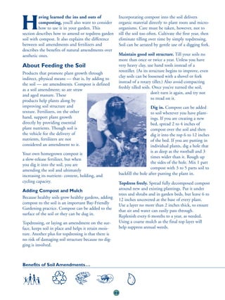 aving learned the ins and outs of                Incorporating compost into the soil delivers

H         composting, you’ll also want to consider
          how to use it in your garden. This
section describes how to amend or topdress garden
                                                           organic material directly to plant roots and micro-
                                                           organisms. Care must be taken, however, not to
                                                           till the soil too often. Cultivate the first year, then
soil with compost. It also explains the difference         eliminate tilling over time by simply topdressing.
between soil amendments and fertilizers and                Soil can be aerated by gentle use of a digging fork.
describes the benefits of natural amendments over
aesthetic ones.                                            Maintain good soil structure. Till your soils no
                                                           more than once or twice a year. Unless you have
About Feeding the Soil                                     very heavy clay, use hand tools instead of a
                                                           rototiller. (As its structure begins to improve, even
Products that promote plant growth through
                                                           clay soils can be loosened with a shovel or fork
indirect, physical means — that is, by adding to
                                                           instead of a rotary tiller.) Also avoid compacting
the soil — are amendments. Compost is defined
                                                           freshly tilled soils. Once you’ve turned the soil,
as a soil amendment; so are straw
                                                                                don’t turn it again, and try not
and aged manure. These
                                                                                to tread on it.
products help plants along by
improving soil structure and                                                  Dig in. Compost can be added
texture. Fertilizers, on the other                                            to soil wherever you have plant-
hand, support plant growth                                                    ings. If you are creating a new
directly by providing essential                                               bed, spread 2 to 4 inches of
plant nutrients. Though soil is                                               compost over the soil and then
the vehicle for the delivery of                                               dig it into the top 6 to 12 inches
nutrients, fertilizers are not                                                of the bed. If you are putting in
considered an amendment to it.                                                individual plants, dig a hole that
                                                                              is as deep as the rootball and 3
Your own homegrown compost is
                                                                              times wider than it. Rough up
a slow-release fertilizer, but when
                                                                              the sides of the hole. Mix 1 part
you dig it into the soil, you are
                                                                              compost with 3 to 5 parts soil to
amending the soil and ultimately
increasing its nutrient- content, holding, and             backfill the hole after putting the plant in.
cycling capacity.                                          Topdress freely. Spread fully decomposed compost
Adding Compost and Mulch                                   around new and existing plantings. Put it under
                                                           trees and shrubs and in garden beds, but leave 6 to
Because healthy soils grow healthy gardens, adding         12 inches uncovered at the base of every plant.
compost to the soil is an important Bay-Friendly           Use a layer no more than 2 inches thick, to ensure
Gardening practice. Compost can be added to the            that air and water can easily pass through.
surface of the soil or they can be dug in.                 Replenish every 6 months to a year, as needed.
Topdressing, or laying an amendment on the sur-            Using a coarse mulch as the final top layer will
face, keeps soil in place and helps it retain mois-        help suppress annual weeds.
ture. Another plus for topdressing is that there is
no risk of damaging soil structure because no dig-
ging is involved.



Benefits of Soil Amendments . . .




                                                      49
 