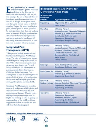 very gardener has to contend

E      with unwelcome guests. Persistent
       dandelions in the driveway or
snails that make midnight raids are just
                                              Beneficial Insects and Plants for
                                              Controlling Major Pests
                                              Attract these
two amongst the not-so-heavenly host of       beneficial
interlopers a gardener can encounter. It      insects            By planting these species
can feel as though it’s us against them
                                              Bigeyed bug        Polygonum sp. (Silver Lace Vine)
out there, and often it seems as if they’re
                                                                 Native grasses
winning. To gain the upper hand against
pests, be they plant or insect, you must      Hoverflies         Achillea sp. (Yarrow)
be more persistent than they are, and you                        Asclepias fascicularis (Narrowleaf Milkweed)
must be strategic. Keeping pests to toler-                       Baccharis sp. (Coyote brush, Mulefat)
able levels (rather than trying to elimi-                        Ceanothus sp. (California Lilac)
nate them completely) can be part of                             Eriogonum sp. (Buckwheat)
this; using more than one means to con-                          Prunis ilicifolia (Hollyleaf Cherry)
trol pests is another effective strategy.
                                              Lady beetles       Achillea sp. (Yarrow)
Integrated Pest                                                  Asclepias fascicularis (Narrowleaf Milkweed)
Management (IPM)                                                 Atriplex sp. (Quailbush, Saltbush)
Taking a more holistic approach is the                           Ceanothus sp. (California Lilac)
foundation of Integrated Pest Manage-                            Rhamnus californica (Coffeeberry)
ment. The suite of practices now known                           Native grasses
as IPM began as “integrated control” in                          Salix sp. (Willow)
the 1950s, when it was recognized that
preserving some insects (the “benefi-         Lacewings          Prunus Ilicifolia (Hollyleaf Cherry)
cials”) could boost the effectiveness of                         Ceanothus sp. (California Lilac)
pesticides applied to walnut trees in
                                              Minute pirate bug Achillea sp. (Yarrow)
California. Today, Integrated Pest
                                                                Baccharis sp. (Coyote brush, Mulefat)
Management is used around the globe to
                                                                Eriogonum sp. (Buckwheat)
contend with a variety of organisms that




                                                                                                                 ADAPTED FROM CORNFLOWER FARMS CATALOG, 2001
threaten the well-being of agricultural
                                              Parasitic &        Achillea sp. (Yarrow)
crops, garden plants, and households.
                                              Predatory Wasps    Aesclepias fascicularis (Narrowleaf Milkweed)
Integrated Pest Management considers                             Eriogonum sp. (Buckwheat)
context. It looks at the whole picture and                       Myoporum sp. (Boobialla)
stresses solutions that cause the least
environmental damage. Whether you’re          Tachnid flies      Achillea sp. (Yarrow)
dealing with weeds or insects, rust or                           Eriogonum sp. (Buckwheat)
blight, the first step in IPM is gaining an                      Heteromeles arbutifolia (Toyon)
understanding of the problem. (Some                              Myoporum sp. (Boobialla)
suggestions for how to do that are pro-                          Rhamnus californica (Coffeeberry)
vided on the following page.)



Benefits of Integrated Pest Management . . .




                                                     62
 